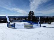 Speedski sulla discesa Sydbacken