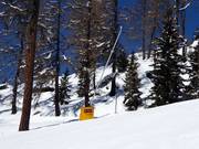 Innevamento con lance sulla discesa a valle