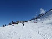 Facile discesa panoramica