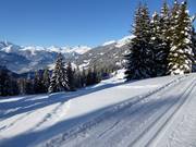 Pista panoramica da fondo al Kristberg