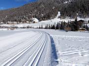 Pista di fondo in quota a Solda