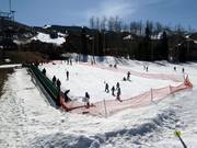 Suggerimento per i più piccoli 