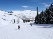 Pista facile Deer Hollow