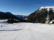 Pista facile Campanil a Pampeago