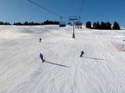 Pista presso la seggiovia Floralpina