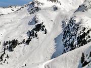 Area freeride sotto la DreiSeenBahn