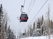 Quicksilver Gondola (Park City-Canyons) - 8pers.| Telecabina (Monofune)