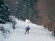 Pista di fondo panoramica sull'Ochsenkopf