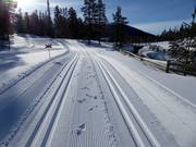 Pista da fondo a Tandådalen