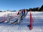 Tappeto mobile Ciampedie