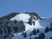 Area freeride all'Aberg