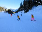 Corso di sci per bambini nell’area sciistica Sunshine Village