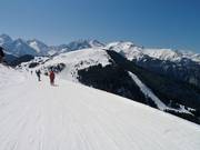 Vista su Auris con molte piste facili ai margini dell’area