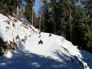 Suggerimento per i più piccoli  - Pista di slittino Monte Cavallo