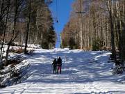 Hochberg Ost (Sonnenlift) - Skilift con T-bar/ancora