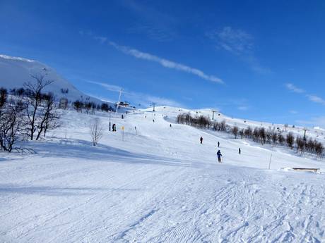 Offerta di piste Härjedalen – Offerta di piste Tänndalen