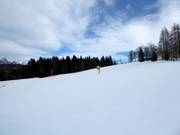 Discesa Birkenlift I e II