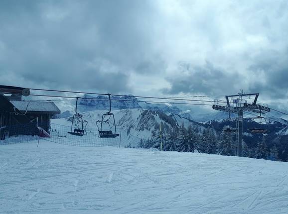 TS de Barbossine - © Michael Medek