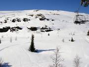 Possibilità di freeride presso la seggiovia