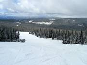 Discesa Blue Sapphire