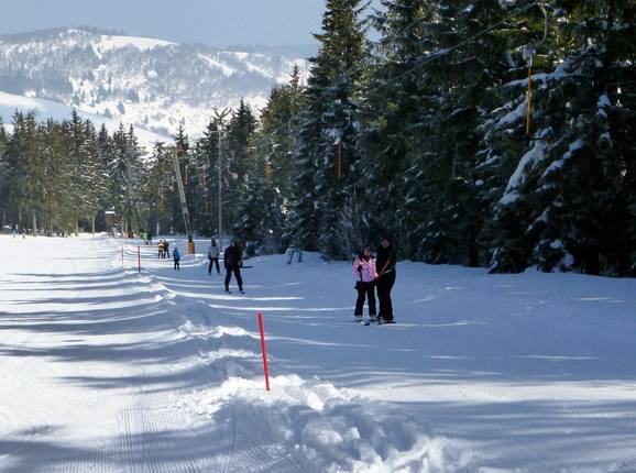 Haldenköpflelift 1 - Skilift con T-bar/ancora