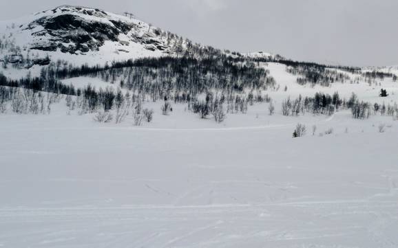 Sciare presso Beitostølen