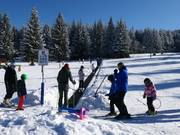 F2. Plešivec - Tapis roulant/Tappeto Magico