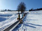 Winterpol Taśma Duża (WT2) - Tapis roulant/Tappeto Magico