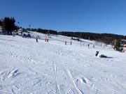 Piste facili e ampie a Zieleniec