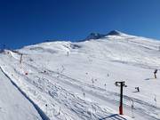 Vista sul facile prato alpino