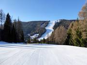 Vista sulla pista Martinella Nord n. 10