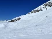 Zona per free ski sulla Bettmeralp