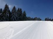 Piste perfettamente preparate