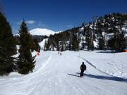 Discesa Märchenwald