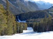 Pista intermedia Ray's Run