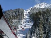 Rothornbahn 1 (Canols-Scharmoin) - 8pers.| Telecabina (Monofune)