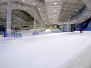 Pista pratica con tappeto roulant