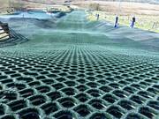 Vista dettagliata dei tappeti