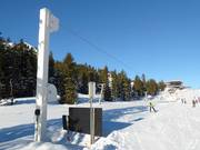 Telecorde III - Manovia/Babylift a fune bassa