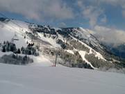 Le discese nel bosco al Prarion