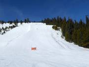 Pista Elk Park Ridge