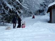 Pista da slittino dalla Reiseralm alla stazione a valle della Brauneckbahn