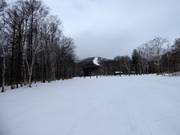 Pista facile South Road