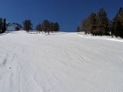 Discesa a valle verso Les Collons