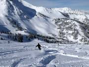 Neve fresca nella Gad Valley