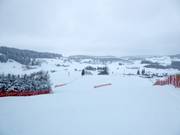Vista dalla stazione a monte sulla pista Sinswanger