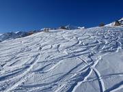 Discese in neve fresca al Cima Vioz