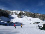 Piste presso il Quincy Express