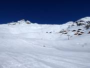Vista dalla Lauchernalp verso l'Hockenhorn
