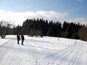 Altastenberg si trova sulla Rothaarloipe